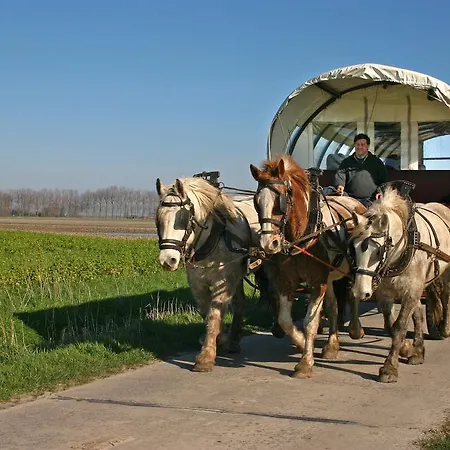 Hotel De Peppelhoeve