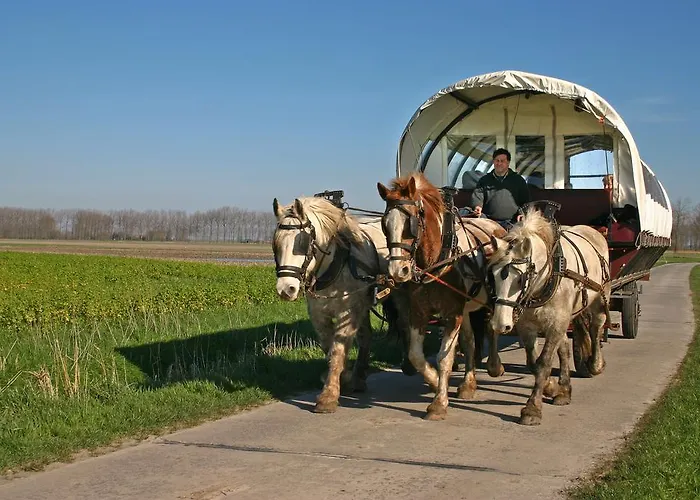 酒店 De Peppelhoeve